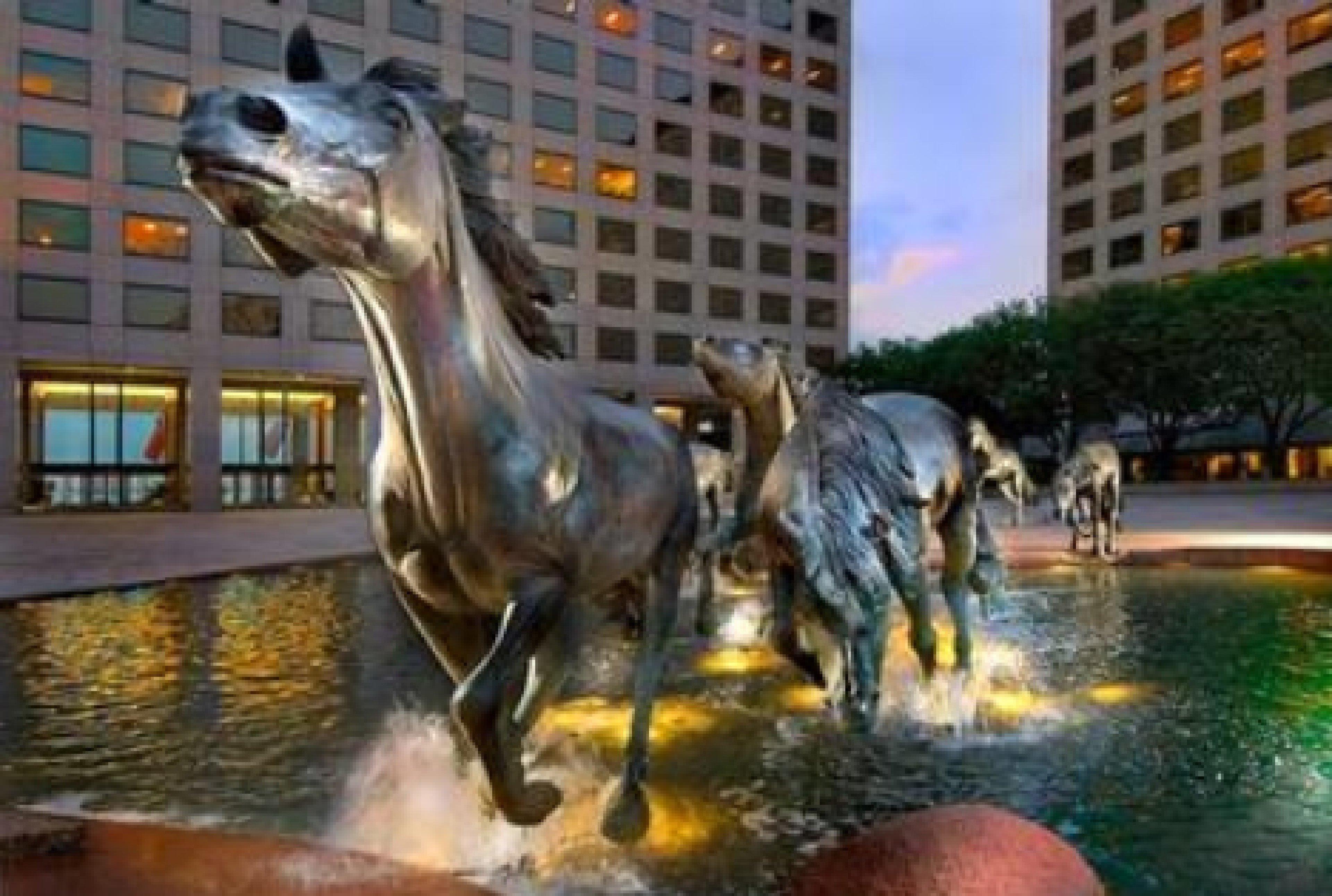 Sonesta Simply Suites Dallas Las Colinas アーヴィング エクステリア 写真